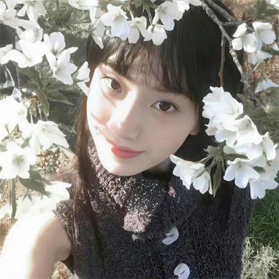 白面包车里的人