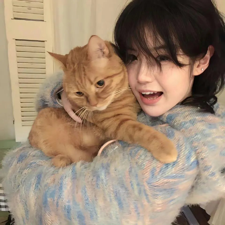 替嫁承欢:王爷毒妃不好惹